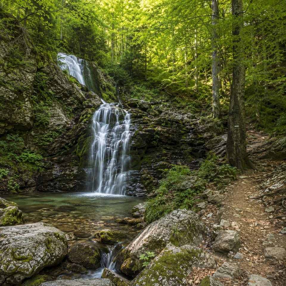 Cascada de pe traseul din apropiere
